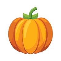 Elegant Pumpkin with Smooth Orange Surface vector