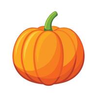 Stylish Pumpkin with Smooth Orange Surface vector