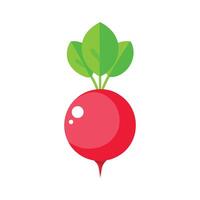 Artistic Radish with White Tip and Red Body vector