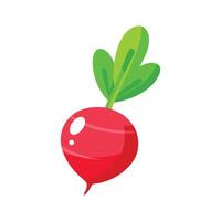Artistic Radish with Long Root vector