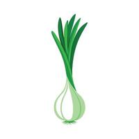 Stylish Scallion with White Bulb and Green Tops vector