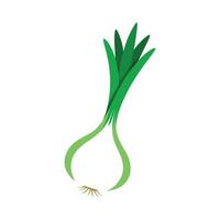 Elegant Scallion with White Bulb and Green Tops vector