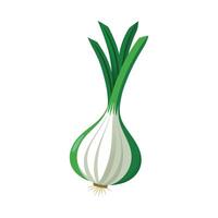 Art of Scallion with White Bulb and Green Tops vector
