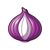 Single Shallot with Thin Skin Layers vector