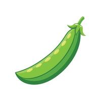 Single Snap Pea with a Slight Curve vector