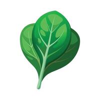 Artistic Spinach Leaf with Curved Edges vector