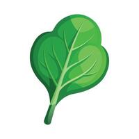 Elegant Spinach Leaf with Curved Edges vector