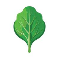 Single Spinach Leaf with Smooth Contours vector