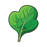Elegant Spinach Leaf with Smooth Contours vector