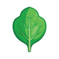 Artistic Spinach Leaf with Smooth Contours vector