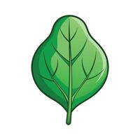 Stylish Spinach Leaf with Smooth Contours vector