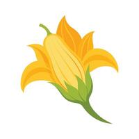 Art of Squash Blossom with Yellow Petals vector