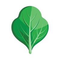 Single Spinach Leaf with Textured Veins vector