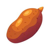 Twisted Shape Sweet Potato Illustration vector