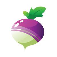 Elegant Turnip with Purple Top and White Bottom vector