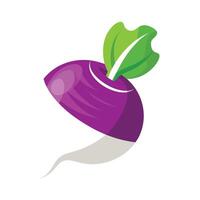 Single Turnip with White and Purple Skin vector