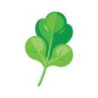 Watercress Leaf with Rounded Shape vector