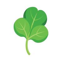 Elegant Watercress Leaf with Rounded Shape vector