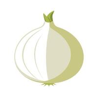 White Onion with Subtle Rings Design vector