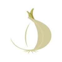 Elegant White Onion with Subtle Rings vector