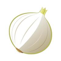Artistic White Onion with Subtle Rings vector