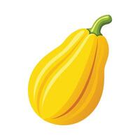 Artistic Yellow Squash with Curved Shape vector