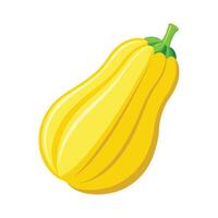Elegant Yellow Squash with Curved Shape vector