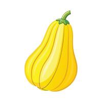 Stylish Yellow Squash with Curved Shape vector