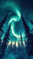 Majestic aurora borealis swirls above snowy forest during winter night in northern wilderness photo