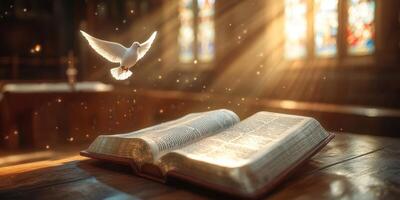 Book lying open on a wooden table with a white dove flying above, illuminated by warm sunlight in a serene setting photo