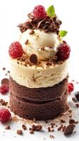 Delightful dessert tower featuring chocolate cake, vanilla ice cream, and fresh raspberries served for an elegant occasion photo