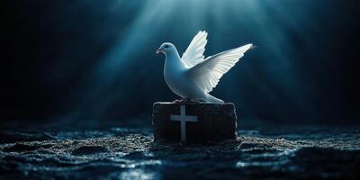 White dove spreading wings with a cross on a stone in a dimly lit setting with soft rays of light falling photo