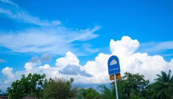 Bright Blue Sky with Puffy White Clouds and Green Trees photo