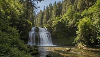 Lush Green Forest Waterfall Cascading into Calm Pool photo