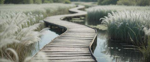 Winding boardwalk journey serene marshland travel destination natural setting tranquil view rustic experience. photo