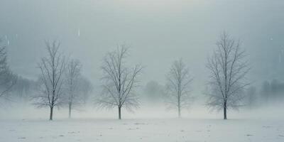 A group of trees in a snow covered field photo