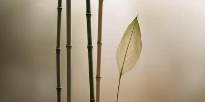 Three bamboo stalks are shown with a leaf in the middle. photo