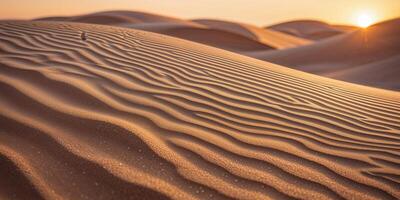 Closeup of Golden Sand Dune Ripples in Warm Sunset with Soft Shadows and Subtle Textures. photo