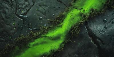 Neon green and dark moss textured wet stone background for creative design photo