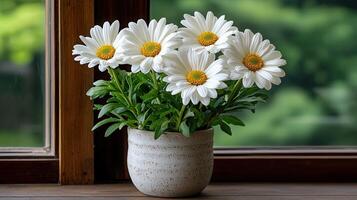 Stunning White Daisies in Rustic Pot by Window Spring Flowers Bouquet Nature photo