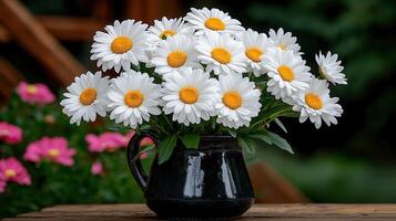 Vibrant Bouquet of White Daisies in Dark Pottery Garden Background photo