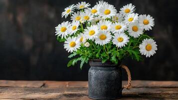 Rustic Still Life Bouquet of White Daisies in Vintage Metal Pot on Wooden Table photo