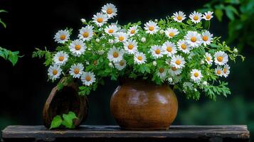 Vibrant Bouquet of White Daisies in Rustic Brown Clay Pot Nature Still Life Photography photo
