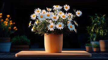 Vibrant Daisies in Terracotta Pot Spring Flowers Rustic Still Life Photography photo
