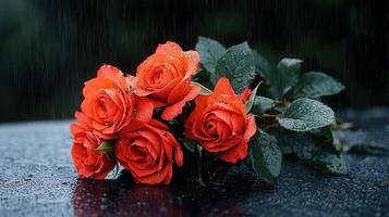 Romantic Red Roses in the Rain Beautiful Bouquet Wet Petals Dark Background photo