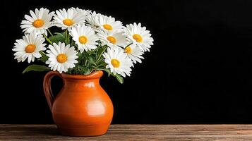 Beautiful Bouquet of White Daisies in Rustic Orange Jug on Wooden Table against Black Background photo