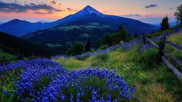 Majestic Mountain Sunset Landscape with Vibrant Lavender Field and Rustic Fence photo