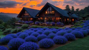 Stunning Sunset View of a Luxurious Log Cabin with Lavender Field photo