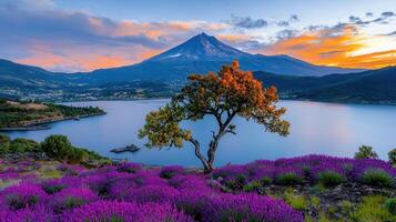 Stunning Sunset Landscape Lavender Field Lake Volcano Tree photo