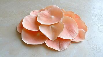 Delicate Peach Colored Petals Arranged on Textured Surface Close Up photo